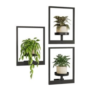 Three black Bamworld wall-mounted planters with metal picture-frame shelves displaying potted plants with trailing and upright foliage
