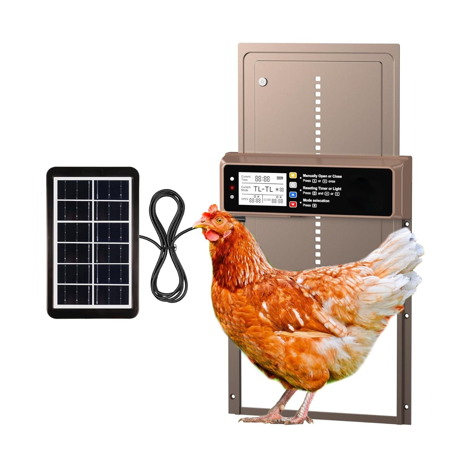 NyPots Chicken Coop Door Review – 4-Mode Ultimate Reliable Solar-Powered Automatic Door 1 NyPots chicken coop door in champagne gold with digital timer, solar panel, and brown hen at entrance
