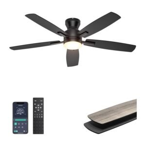 Low-profile ceiling fan in matte black with 5 blades, integrated LED light, remote and app control